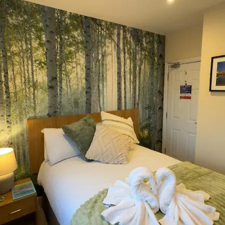 The Buck * 惠特比